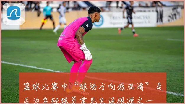 篮球比赛中“球场方向感混淆”是否为年轻球员常见失误根源之一