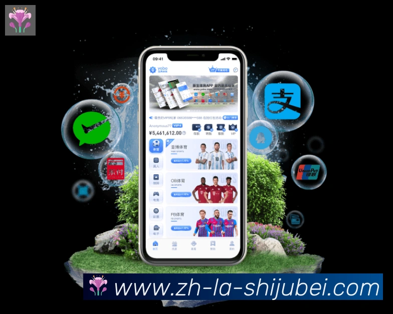 未来规划