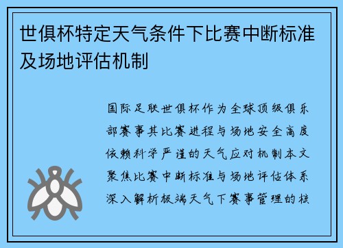 世俱杯特定天气条件下比赛中断标准及场地评估机制
